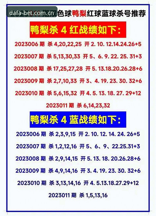 大发体育官网2025新版上线，老用户亲测分享最新动态与实用指南