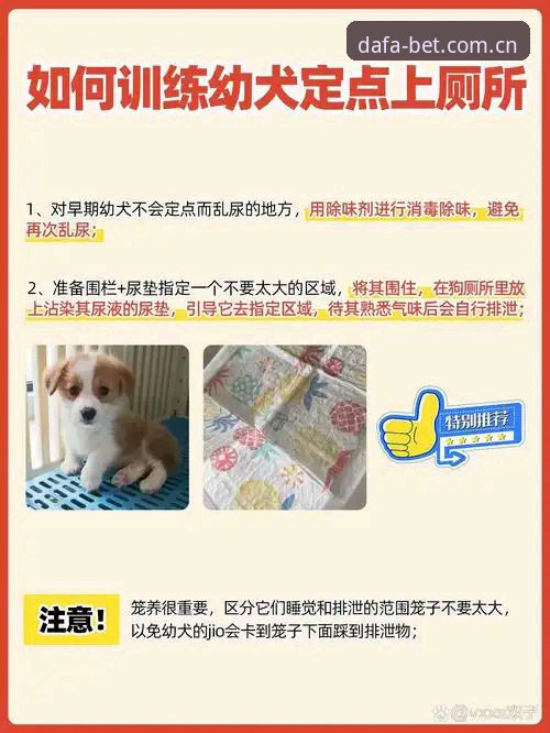 如何快速找到最新大发2025登录入口？新手必看操作指南